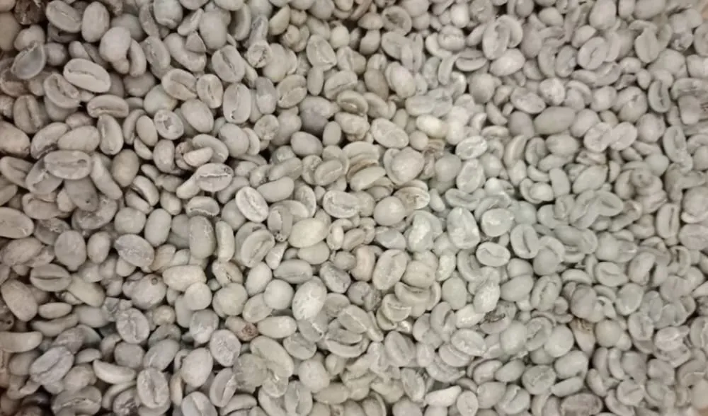 Kopi